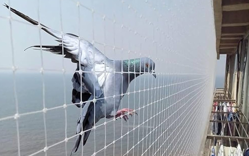 Best Anti Bird Net Dealers In India